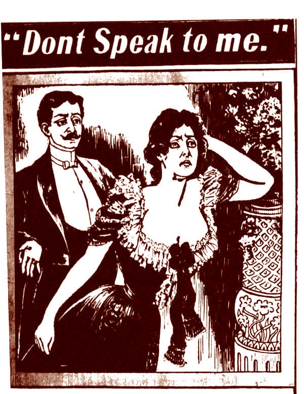 Иллюстрация к книге — Это неприлично. Руководство по сексу, манерам и премудростям замужества для викторианской леди [i_106.jpg]