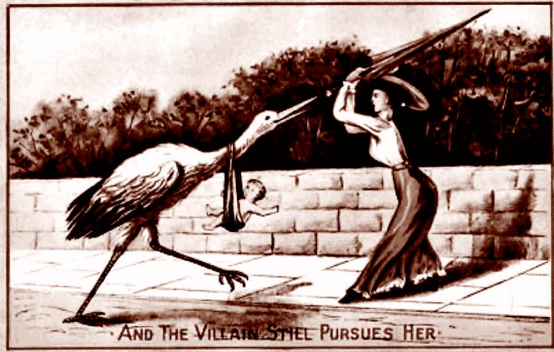 Иллюстрация к книге — Это неприлично. Руководство по сексу, манерам и премудростям замужества для викторианской леди [i_110.jpg]