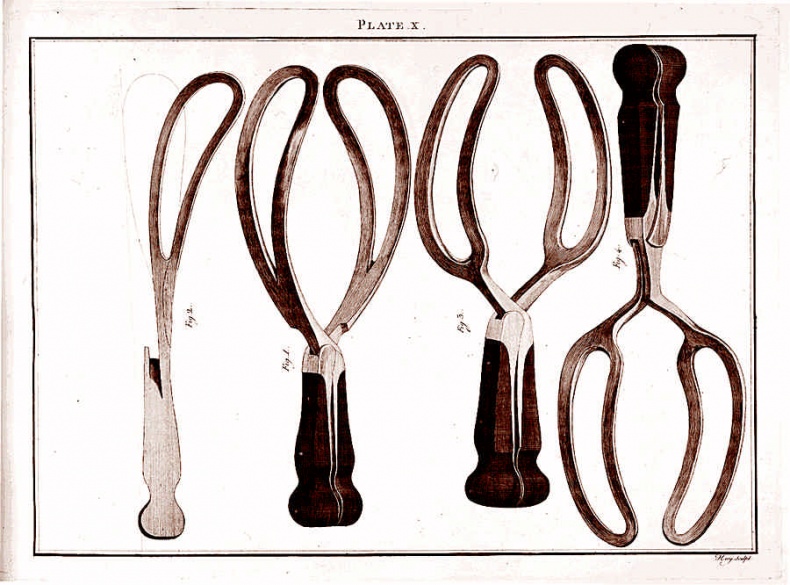 Иллюстрация к книге — Это неприлично. Руководство по сексу, манерам и премудростям замужества для викторианской леди [i_111.jpg]