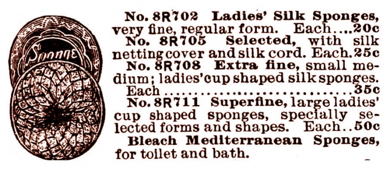 Иллюстрация к книге — Это неприлично. Руководство по сексу, манерам и премудростям замужества для викторианской леди [i_121.jpg]