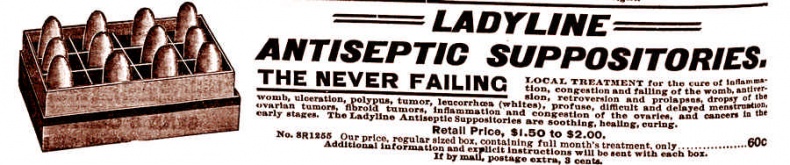 Иллюстрация к книге — Это неприлично. Руководство по сексу, манерам и премудростям замужества для викторианской леди [i_123.jpg]