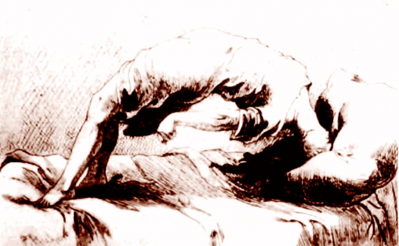 Иллюстрация к книге — Это неприлично. Руководство по сексу, манерам и премудростям замужества для викторианской леди [i_176.jpg]