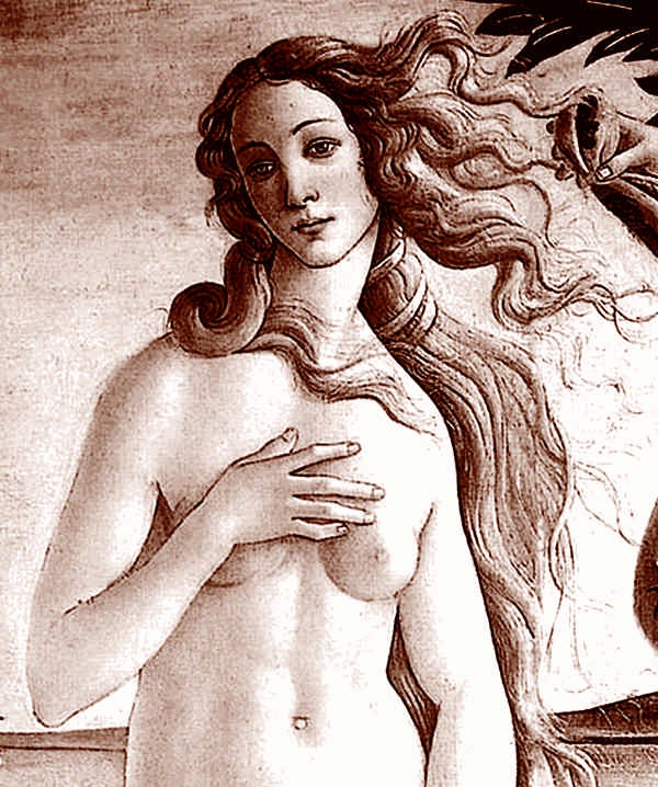 Иллюстрация к книге — Это неприлично. Руководство по сексу, манерам и премудростям замужества для викторианской леди [i_191.jpg]