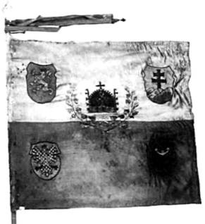 Иллюстрация к книге — Знамена и штандарты Российской императорской армии конца XIX - начала XX в. [any2fbimgloader6.jpg]