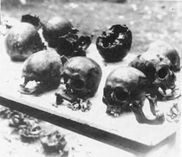 Иллюстрация к книге — Катынский синдром в советско-польских и российско-польских отношениях [i_061.jpg]