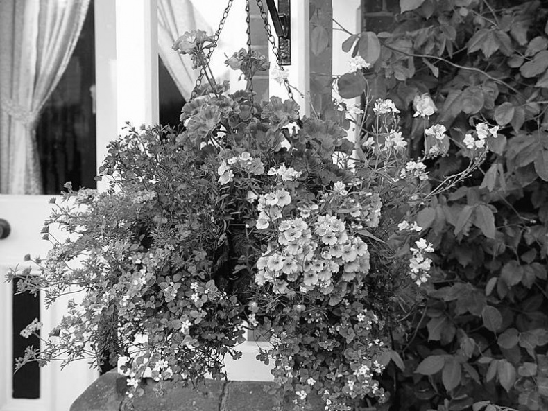 Иллюстрация к книге — 5 O&#039;clock и другие традиции Англии [i_003.jpg]