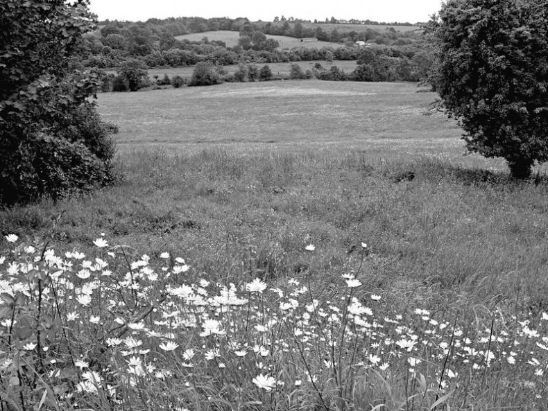 Иллюстрация к книге — 5 O&#039;clock и другие традиции Англии [i_007.jpg]