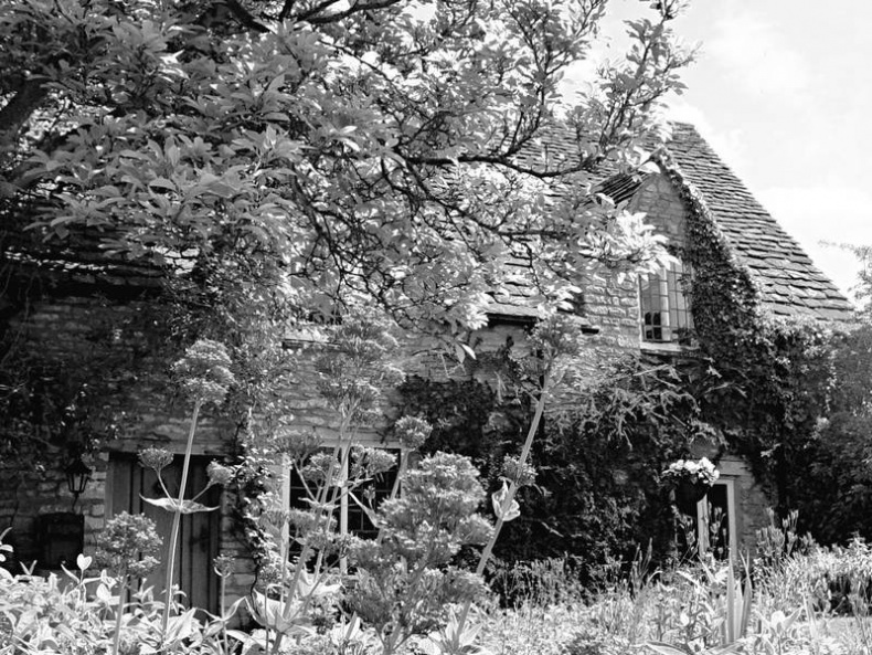 Иллюстрация к книге — 5 O&#039;clock и другие традиции Англии [i_012.jpg]