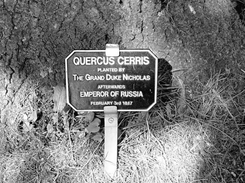 Иллюстрация к книге — 5 O&#039;clock и другие традиции Англии [i_029.jpg]