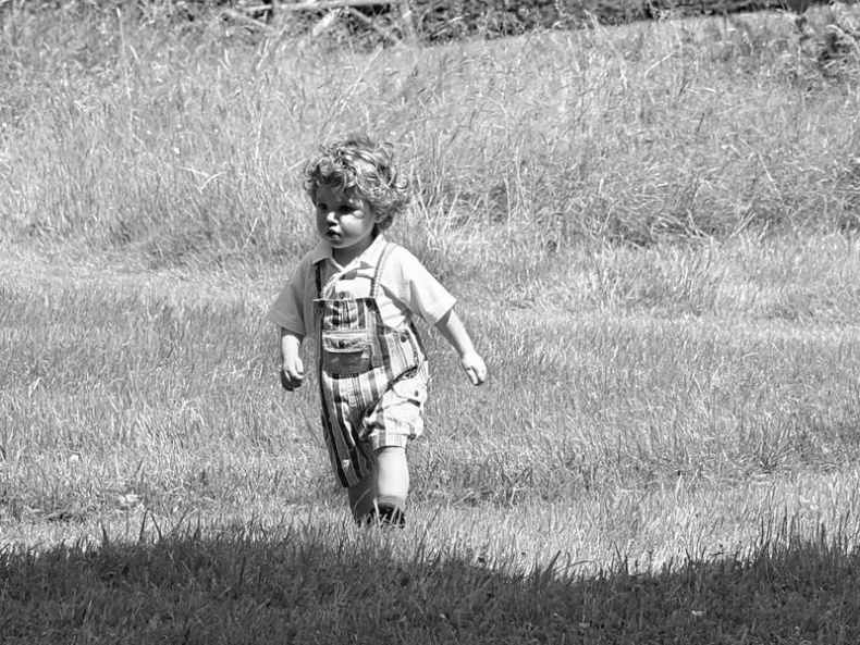 Иллюстрация к книге — 5 O&#039;clock и другие традиции Англии [i_040.jpg]