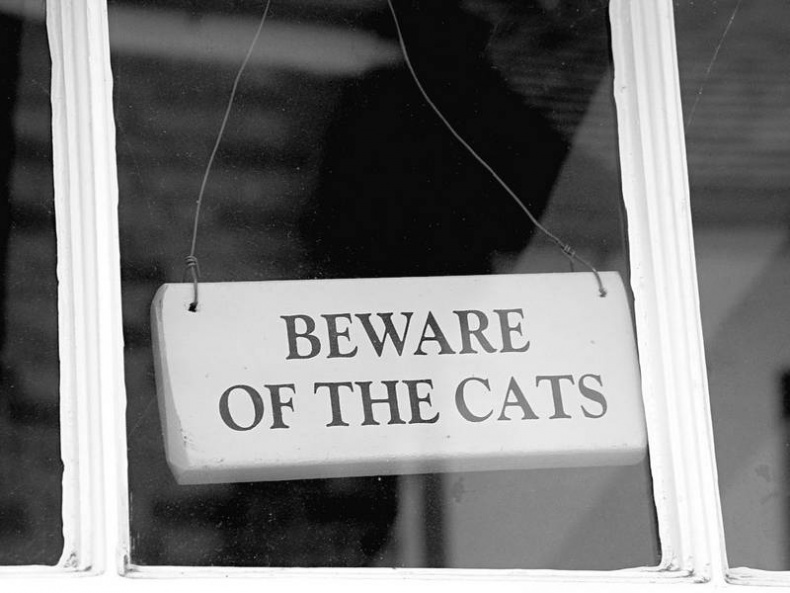 Иллюстрация к книге — 5 O&#039;clock и другие традиции Англии [i_079.jpg]