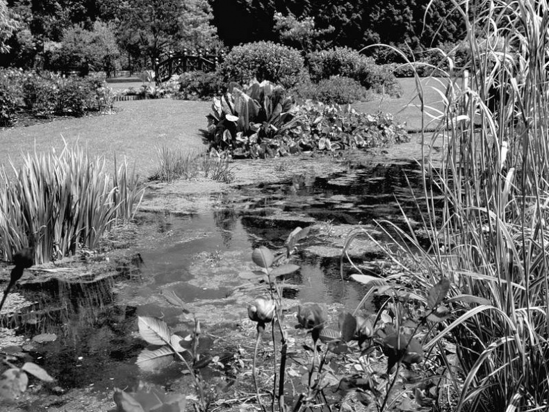 Иллюстрация к книге — 5 O&#039;clock и другие традиции Англии [i_099.jpg]