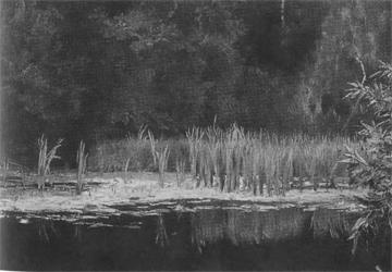 Иллюстрация к книге — Повседневная жизнь русской усадьбы XIX века [img80e0.jpg]