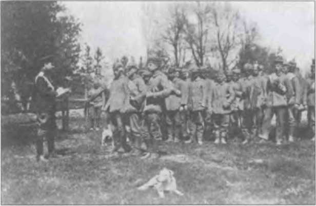 Иллюстрация к книге — Неизвестные трагедии Первой мировой. Пленные. Дезертиры. Беженцы [i_022.jpg]