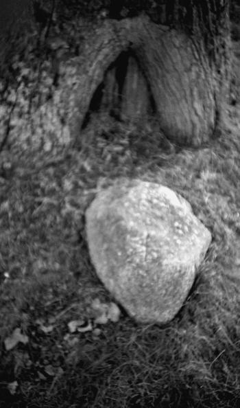 Иллюстрация к книге — Мегалиты Русской равнины [i_002.jpg]