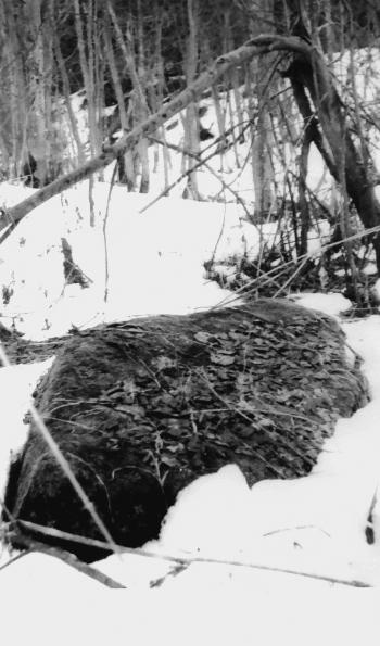 Иллюстрация к книге — Мегалиты Русской равнины [i_008.jpg]