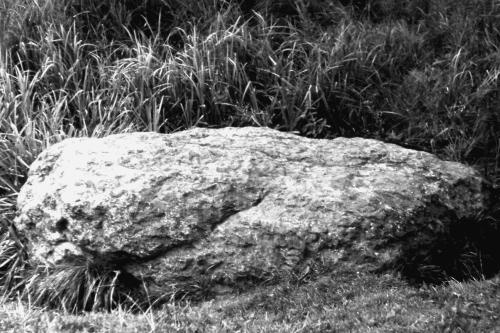 Иллюстрация к книге — Мегалиты Русской равнины [i_010.jpg]