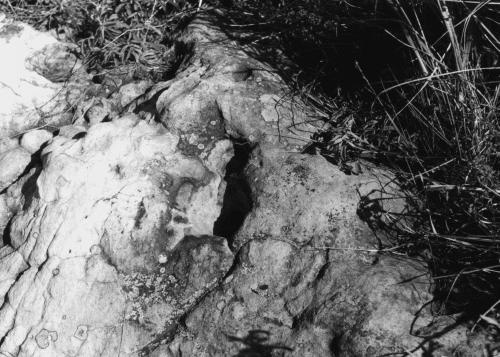 Иллюстрация к книге — Мегалиты Русской равнины [i_011.jpg]