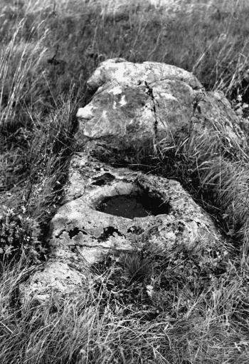 Иллюстрация к книге — Мегалиты Русской равнины [i_014.jpg]