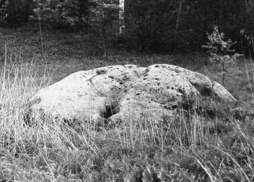 Иллюстрация к книге — Мегалиты Русской равнины [i_015.jpg]