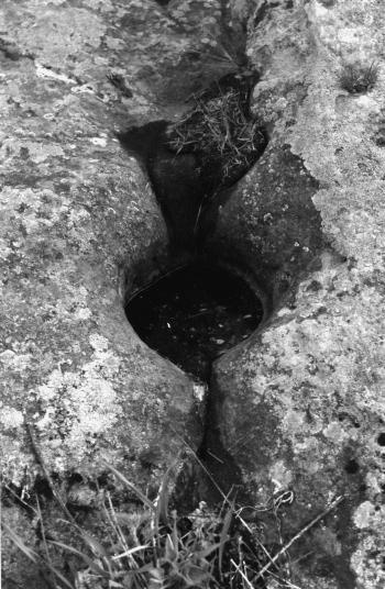 Иллюстрация к книге — Мегалиты Русской равнины [i_017.jpg]