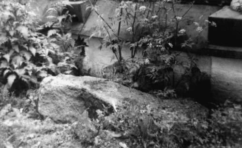 Иллюстрация к книге — Мегалиты Русской равнины [i_036.jpg]