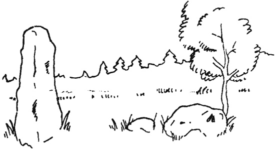 Иллюстрация к книге — Мегалиты Русской равнины [i_037.jpg]