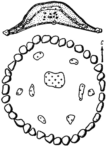 Иллюстрация к книге — Мегалиты Русской равнины [i_041.jpg]