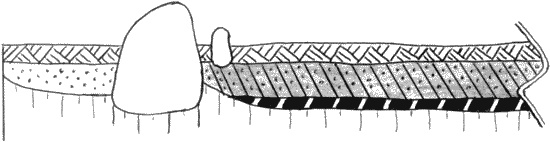 Иллюстрация к книге — Мегалиты Русской равнины [i_045.jpg]