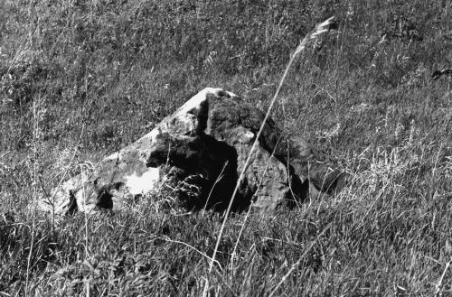 Иллюстрация к книге — Мегалиты Русской равнины [i_056.jpg]