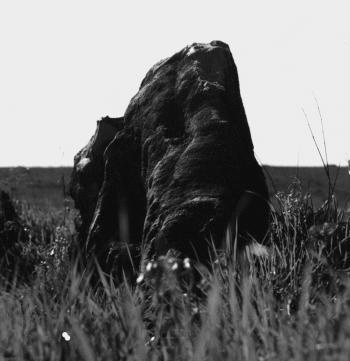 Иллюстрация к книге — Мегалиты Русской равнины [i_058.jpg]