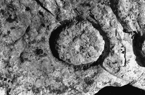 Иллюстрация к книге — Мегалиты Русской равнины [i_066.jpg]