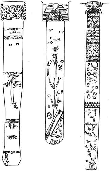 Иллюстрация к книге — Друиды. Поэты, ученые, прорицатели [pic_28.jpg]