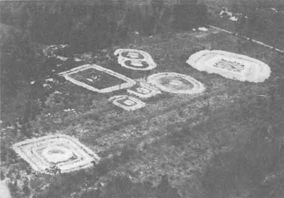 Иллюстрация к книге — Друиды. Поэты, ученые, прорицатели [pic_40.jpg]