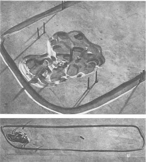 Иллюстрация к книге — Друиды. Поэты, ученые, прорицатели [pic_49.jpg]