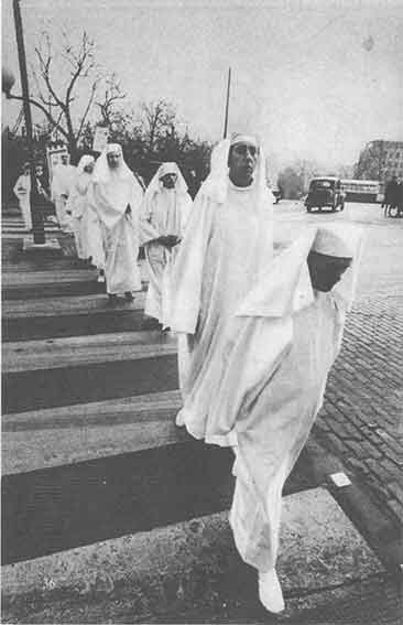 Иллюстрация к книге — Друиды. Поэты, ученые, прорицатели [pic_68.jpg]