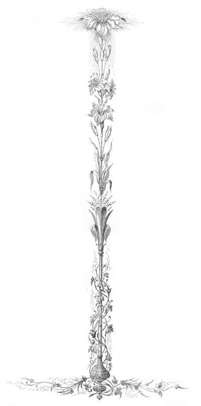 Иллюстрация к книге — Царские трапезы и забавы. Быт, нравы, развлечения, торжества и кулинарные пристрастия русских царей [autogen_ebook_id17.jpg]