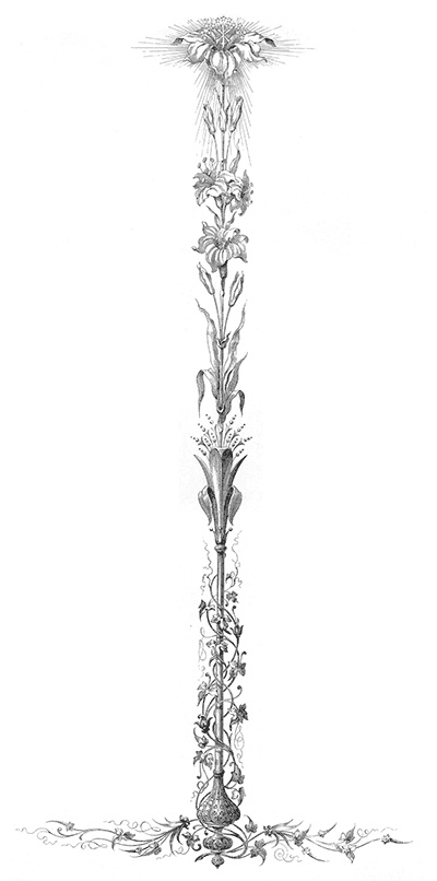 Иллюстрация к книге — Царские трапезы и забавы. Быт, нравы, развлечения, торжества и кулинарные пристрастия русских царей [autogen_ebook_id3.jpg]