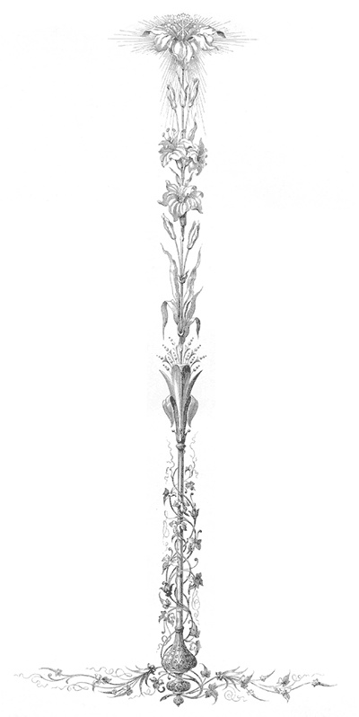 Иллюстрация к книге — Царские трапезы и забавы. Быт, нравы, развлечения, торжества и кулинарные пристрастия русских царей [autogen_ebook_id30.jpg]