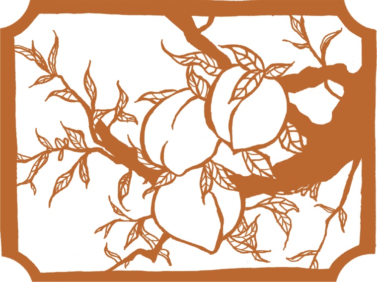 Иллюстрация к книге — Где гора говорит с луной [i_018.jpg]