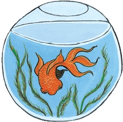 Иллюстрация к книге — Где гора говорит с луной [i_061.jpg]