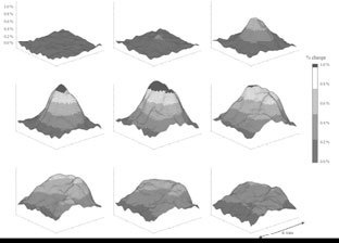 Иллюстрация к книге — Один день из жизни мозга. Нейробиология сознания от рассвета до заката [_2.jpg]