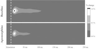 Иллюстрация к книге — Один день из жизни мозга. Нейробиология сознания от рассвета до заката [_5.jpg]