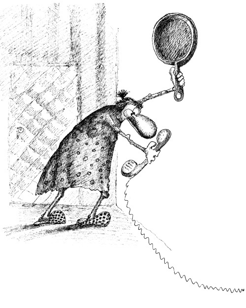 Иллюстрация к книге — Все девочки снежинки, а мальчики клоуны [i_003.jpg]