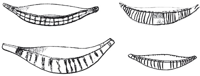 Иллюстрация к книге — Додинастический Египет. Лодка у истоков цивилизации [i_059.jpg]