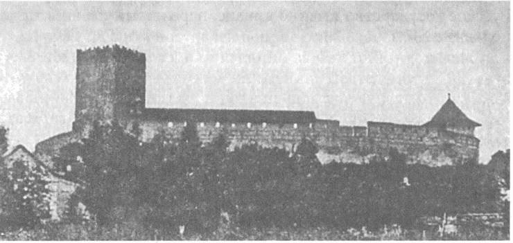 Иллюстрация к книге — Литовско-Русское государство в XIII—XVI вв. [i_060.jpg]