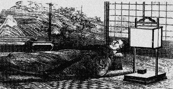 Иллюстрация к книге — От Эдо до Токио и обратно. Культура, быт и нравы Японии эпохи Токугава [i_027.jpg]