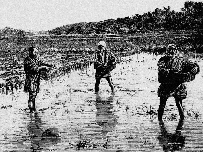 Иллюстрация к книге — От Эдо до Токио и обратно. Культура, быт и нравы Японии эпохи Токугава [i_078.jpg]