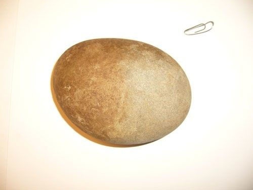 Иллюстрация к книге — Феномены древней культуры востока Северной Азии [i_004.jpg]