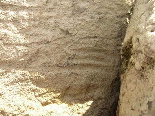 Иллюстрация к книге — Феномены древней культуры востока Северной Азии [i_013.jpg]